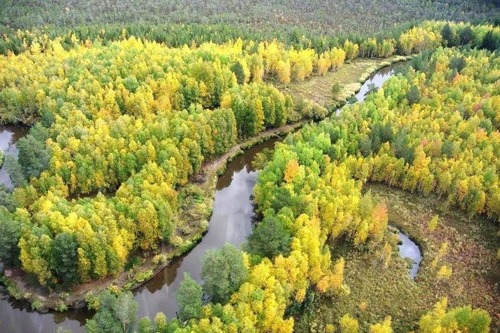 Природа Ханты-Мансийского автономного округа — Югры, река Малая Сосьва